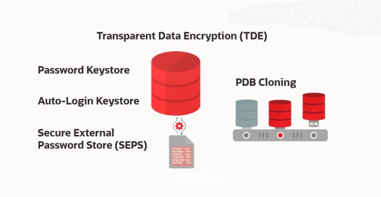 Secure Systems External Login Example Enable TDE, auto-login wallet, and Secure External Password Store (SEPS ...